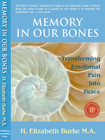  memory in our bones book cover, book endorsements, tools for change