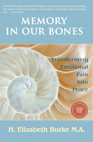  memory in our bones book cover, book endorsements, tools for change